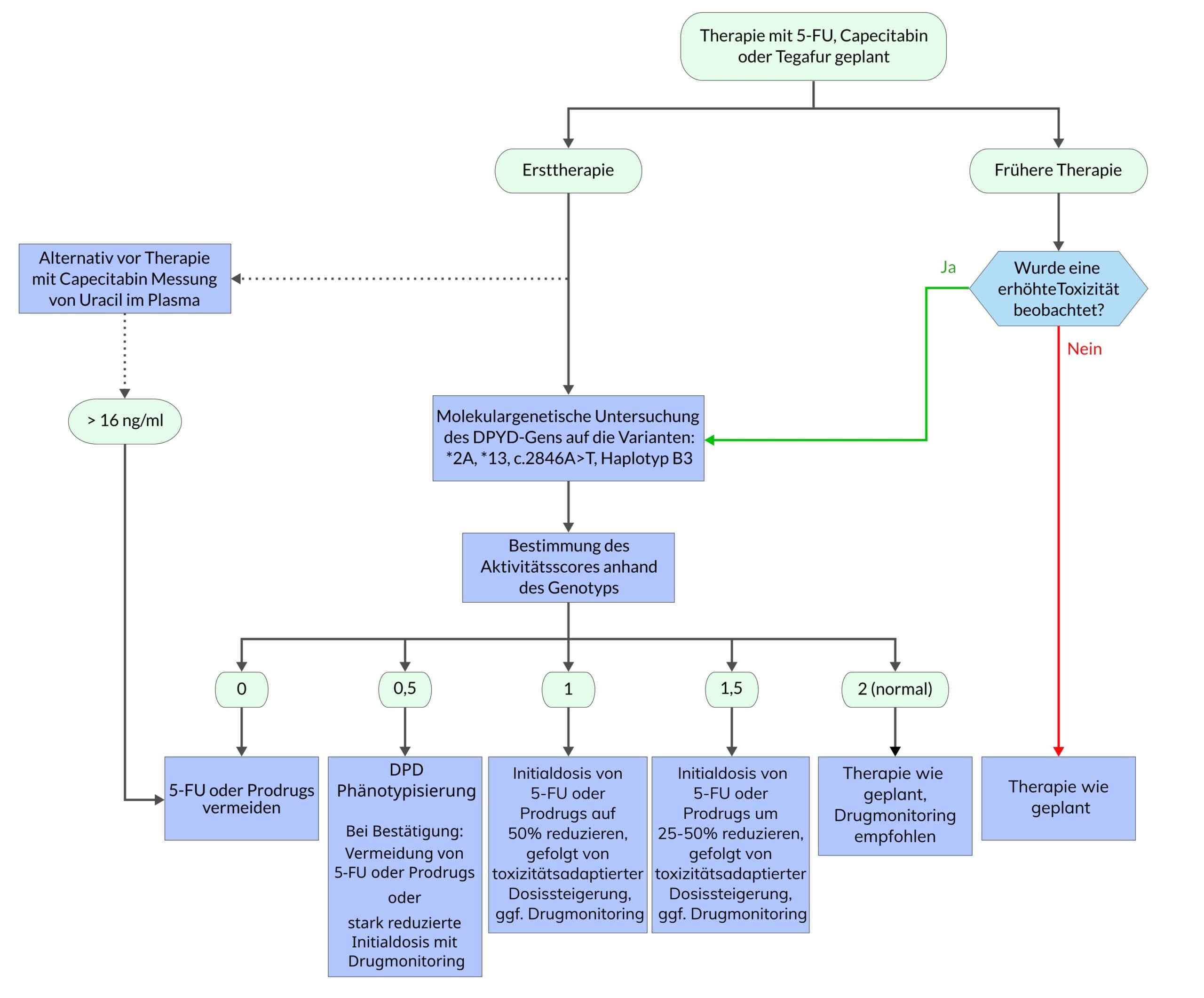 Flussdiagramm zur Pharmakogenetik der Dihydropyrimidin-Dehydrogenase (DPD). Das Diagramm zeigt verschiedene Entscheidungspunkte und Handlungsmöglichkeiten basierend auf der Aktivität des DPD-Enzyms. Es beginnt mit der Frage, ob es sich um eine Ersttherapie handelt oder ob es bereits eine frühere Therapie gab und ob bei einer früheren Therapie eine erhöhte Toxizität beobachtet wurde. Abhängig von der Antwort gibt es verschiedene Zweige, die Therapievorschläge, Dosisanpassungen und Monitoring-Optionen beschreiben. Basierend auf dem Genotyp und der Enzymaktivität werden Empfehlungen für die Behandlung gegeben. Das Diagramm enthält zahlreiche Verbindungslinien und Entscheidungspunkte, die durch farbige Kästchen und Pfeile hervorgehoben werden. Die Texte sind in deutscher Sprache verfasst.