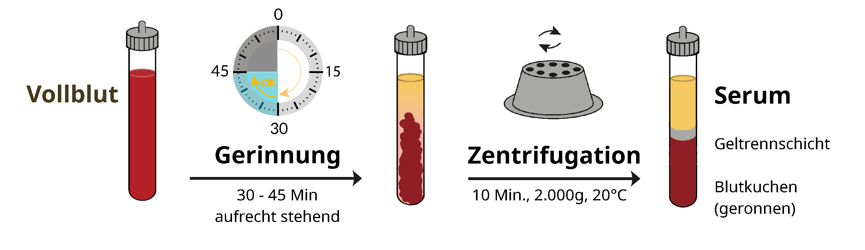 Serum-Prozess